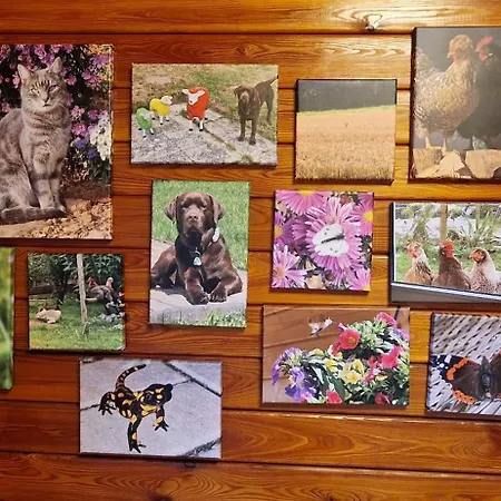 Blockhaus Am Waldrand