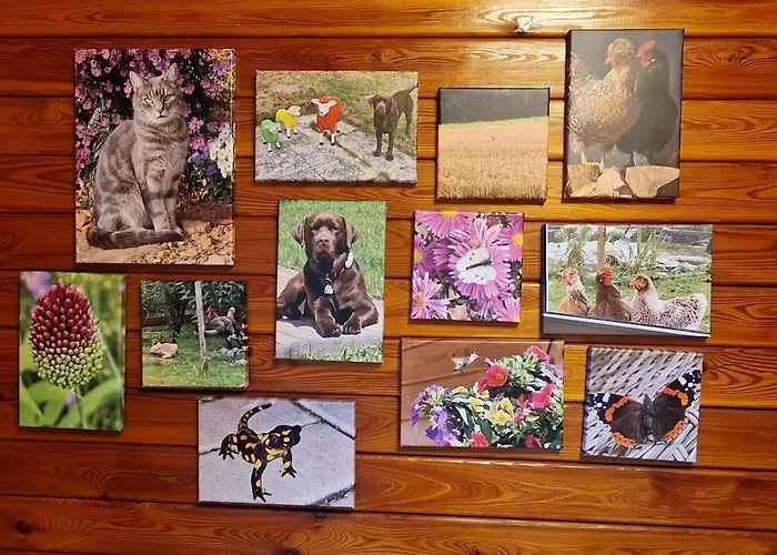 Blockhaus Am Waldrand